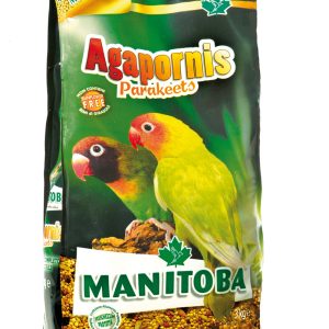 Pipa Pelada extra limpia de girasol MANITOBA – La Tienda del Canario