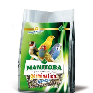 Semilla Alta Germinación SPEED 24 NO DORE MANITOBA