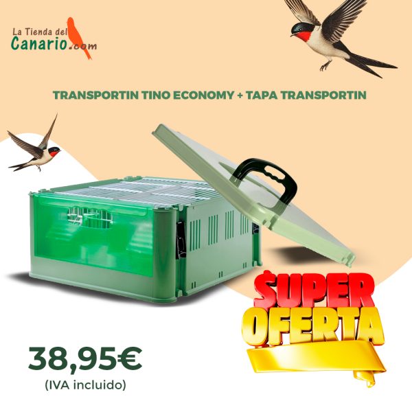 OFERTON, TRANSPORTIN TINO ECONOMY + TAPA